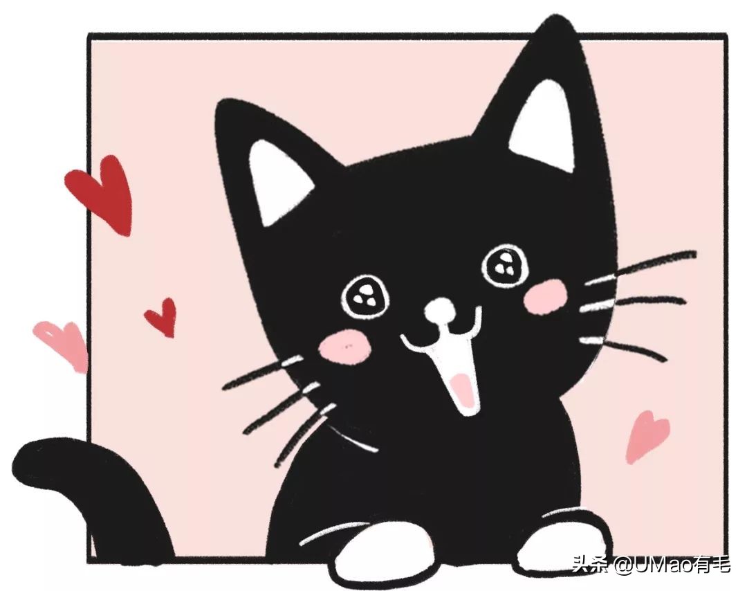 猫梳子去毛神器,去猫毛神器哪个最好