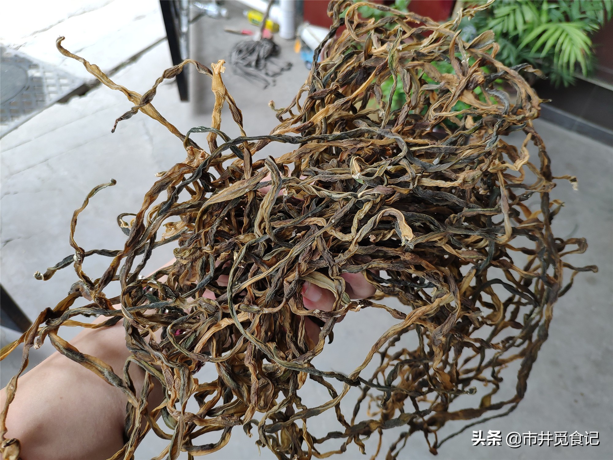 豆角晒7成干,新鲜豆角晒成干豆角一斤能出多少