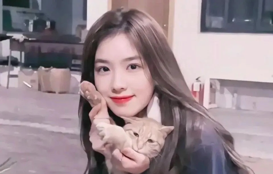 深扒王思聪坎坷的感情经历,王思聪为什么追不到孙一宁