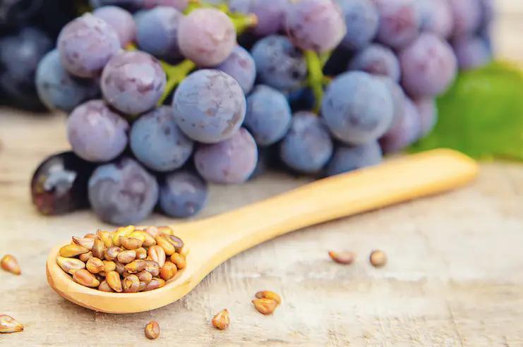 绵羊油适合的肤质,倾慕小铺澳洲绵羊油水润滋养