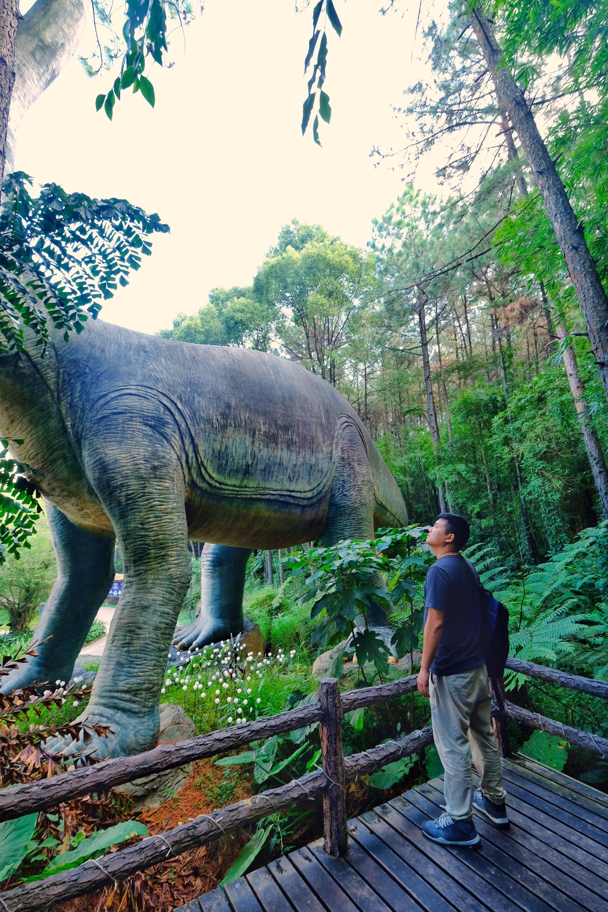 森波拉森林景区,广东清远森波拉旅游度假区