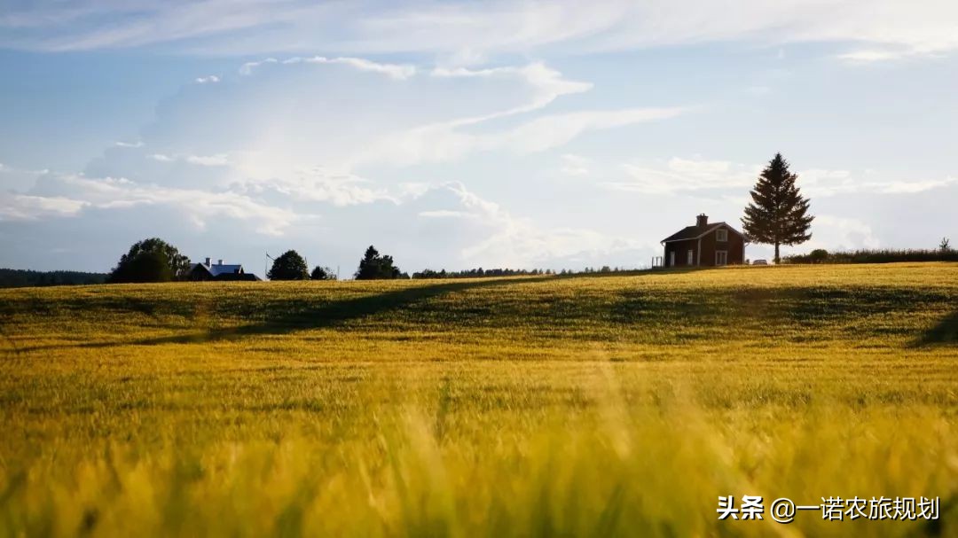 乡村经济未来发展展望,乡村产业未来发展方向