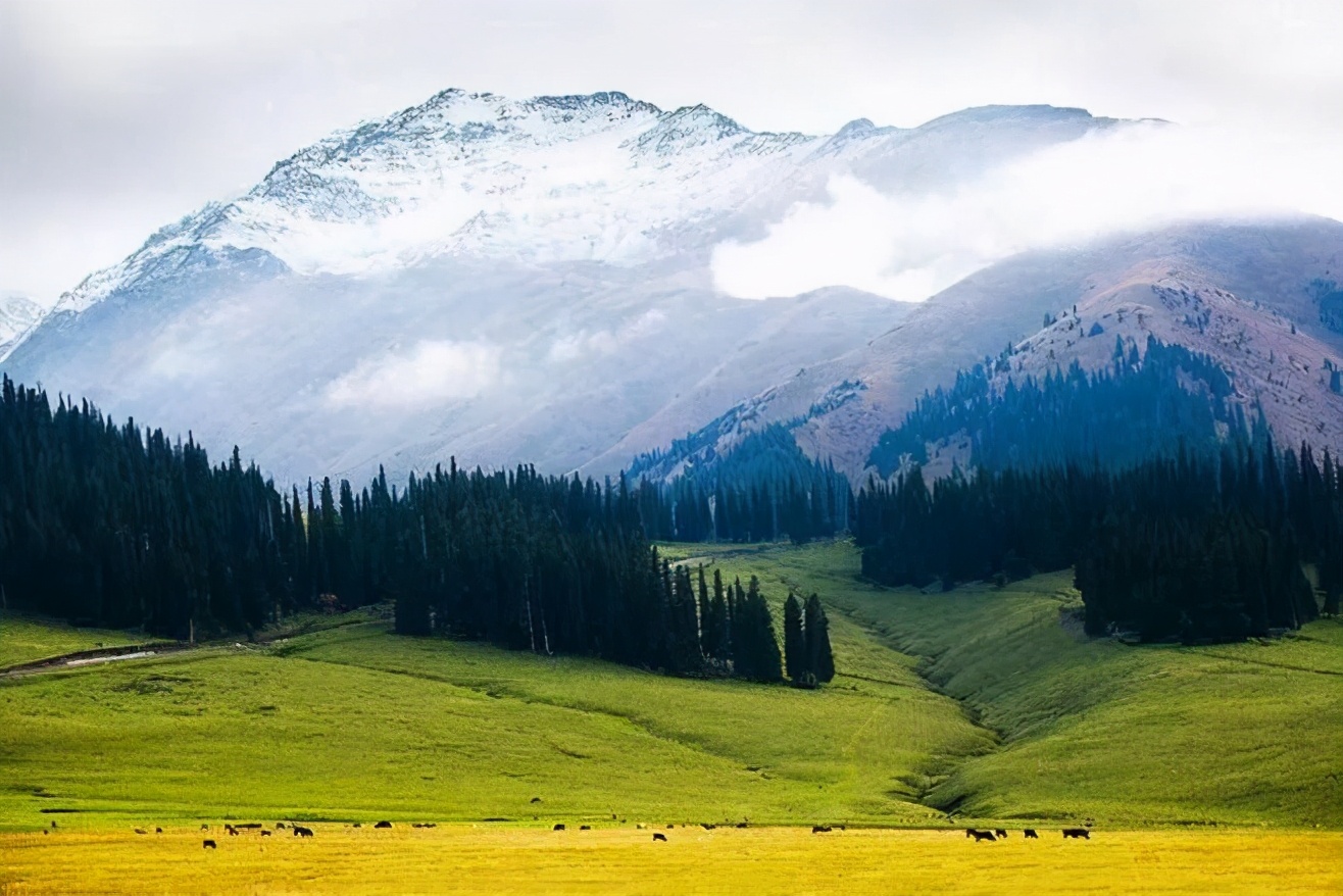 张曜的幕僚萧雄：纵横二万里，豪情满天山