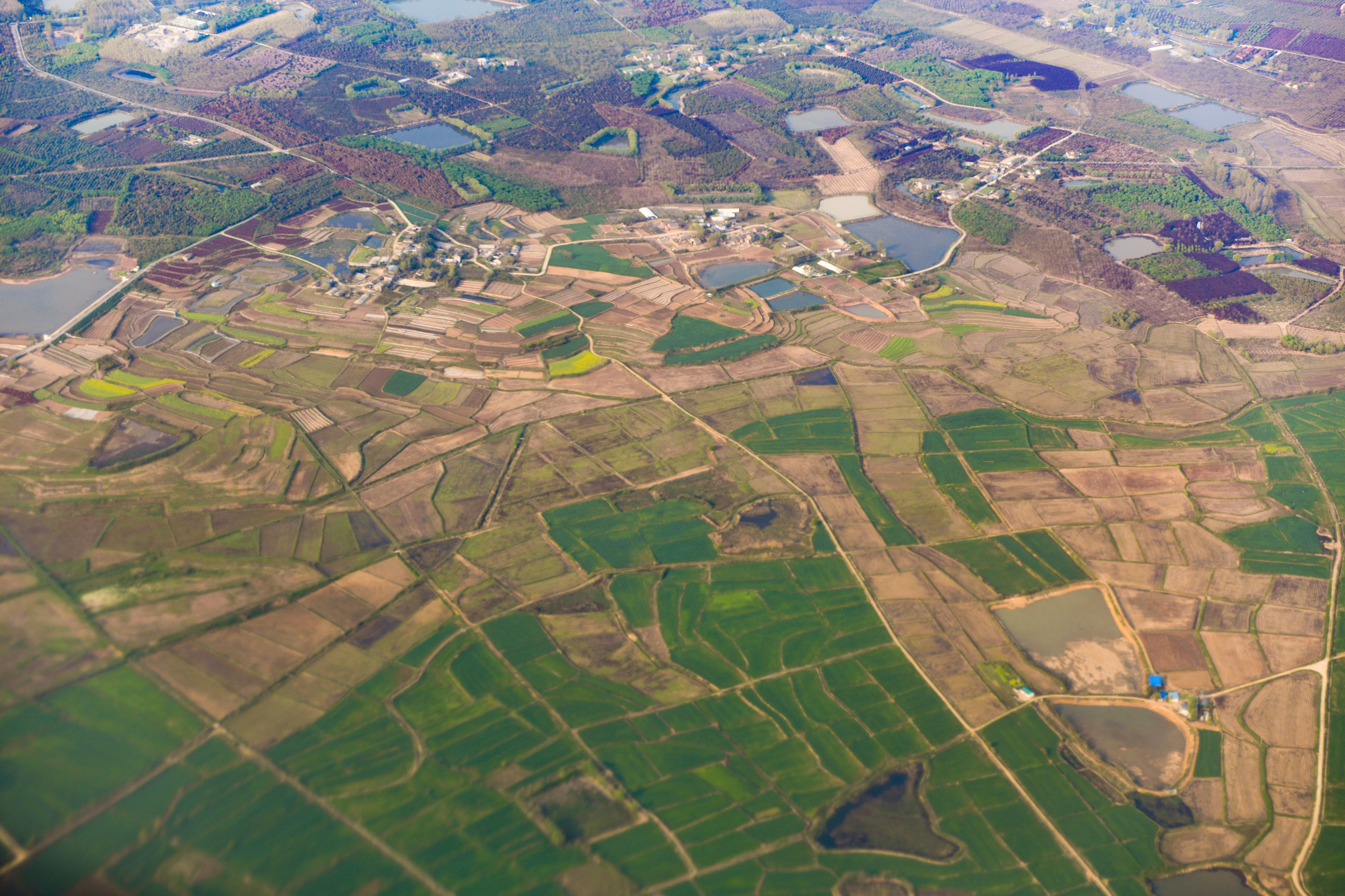 厦门鼓浪屿免费,厦门景点半价政策最新规定