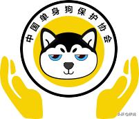 快手抖音入门教程,快手抖音短视频教程