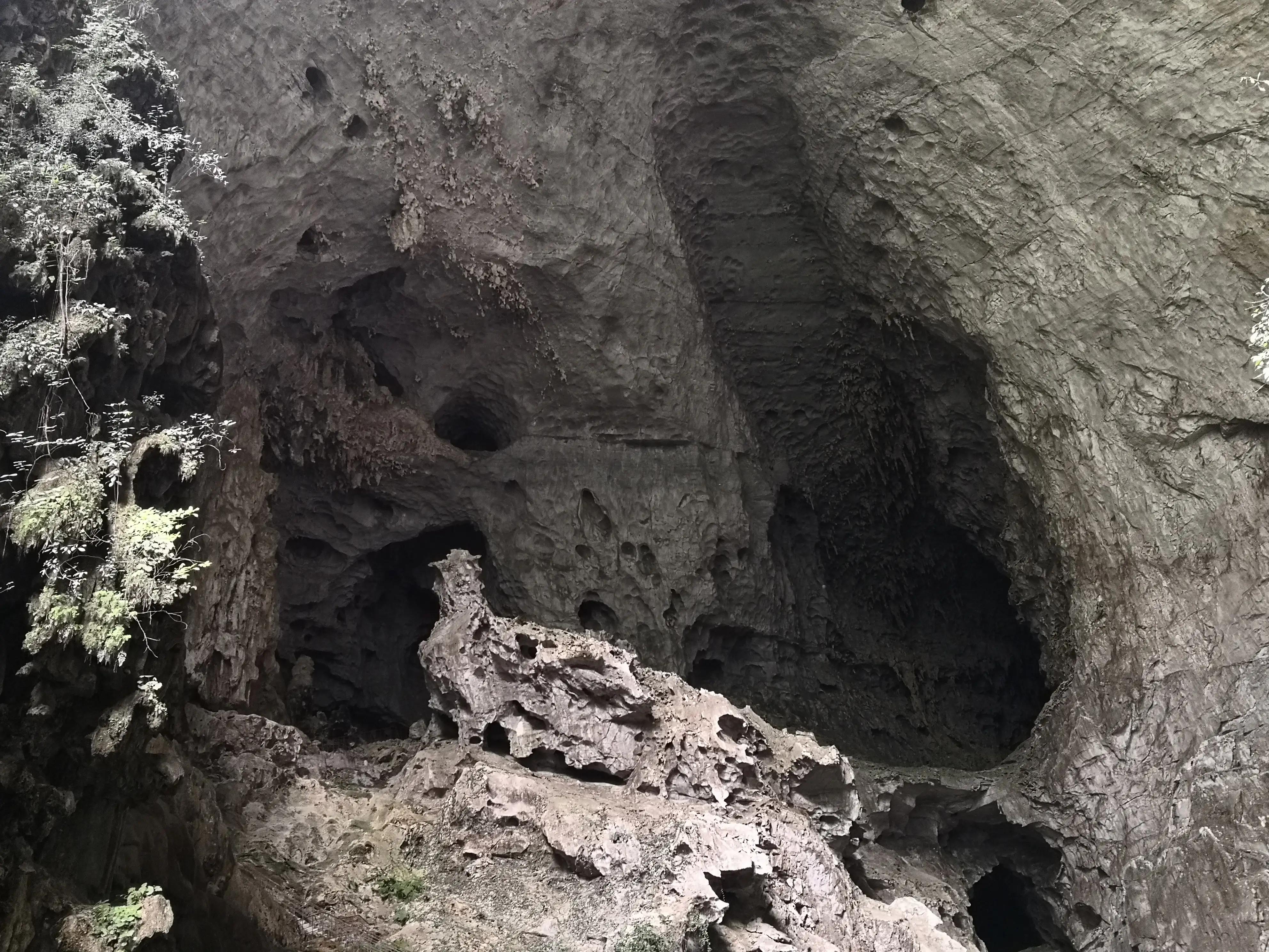 广西巴马吃住攻略,巴马百魔洞吃住行