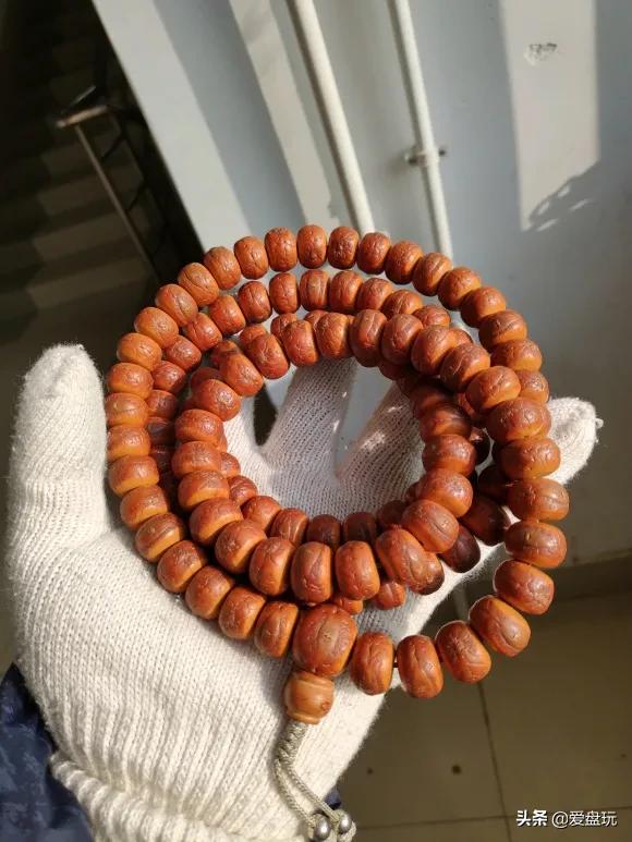 金刚菩提上完橄榄油以后怎么办,金刚菩提下完水发白了