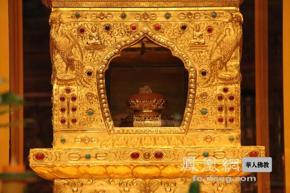 人造舍利子和高僧舍利有何区别,猞猁为什么会生小猞猁