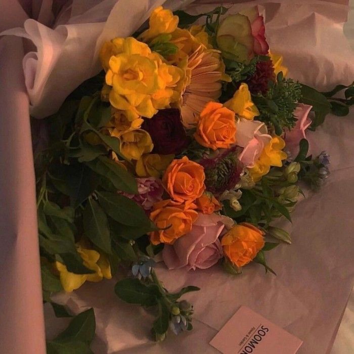 你最舍不得换的壁纸,朋友圈背景图插画