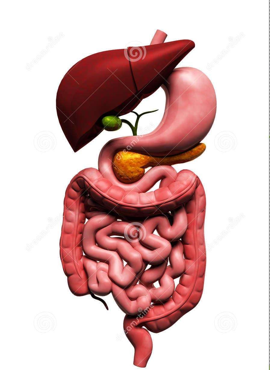 人体八大系统查体,科普讲解人体八大系统4分钟