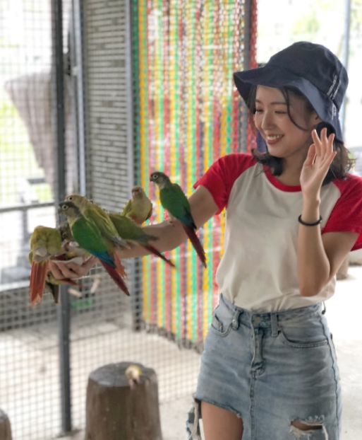 东莞情侣约会攻略一日游,东莞情侣打卡约会最佳地点