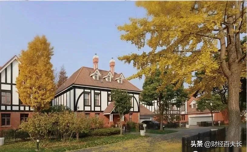 上海太魔幻了,上海太魔幻