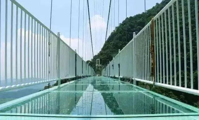 扩散|天津首个“7D花海天空之境”开放？全国都翻车了