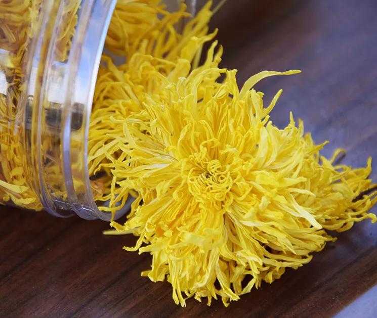 金丝皇菊泡什么能清肝明目,金丝皇菊组合养生茶