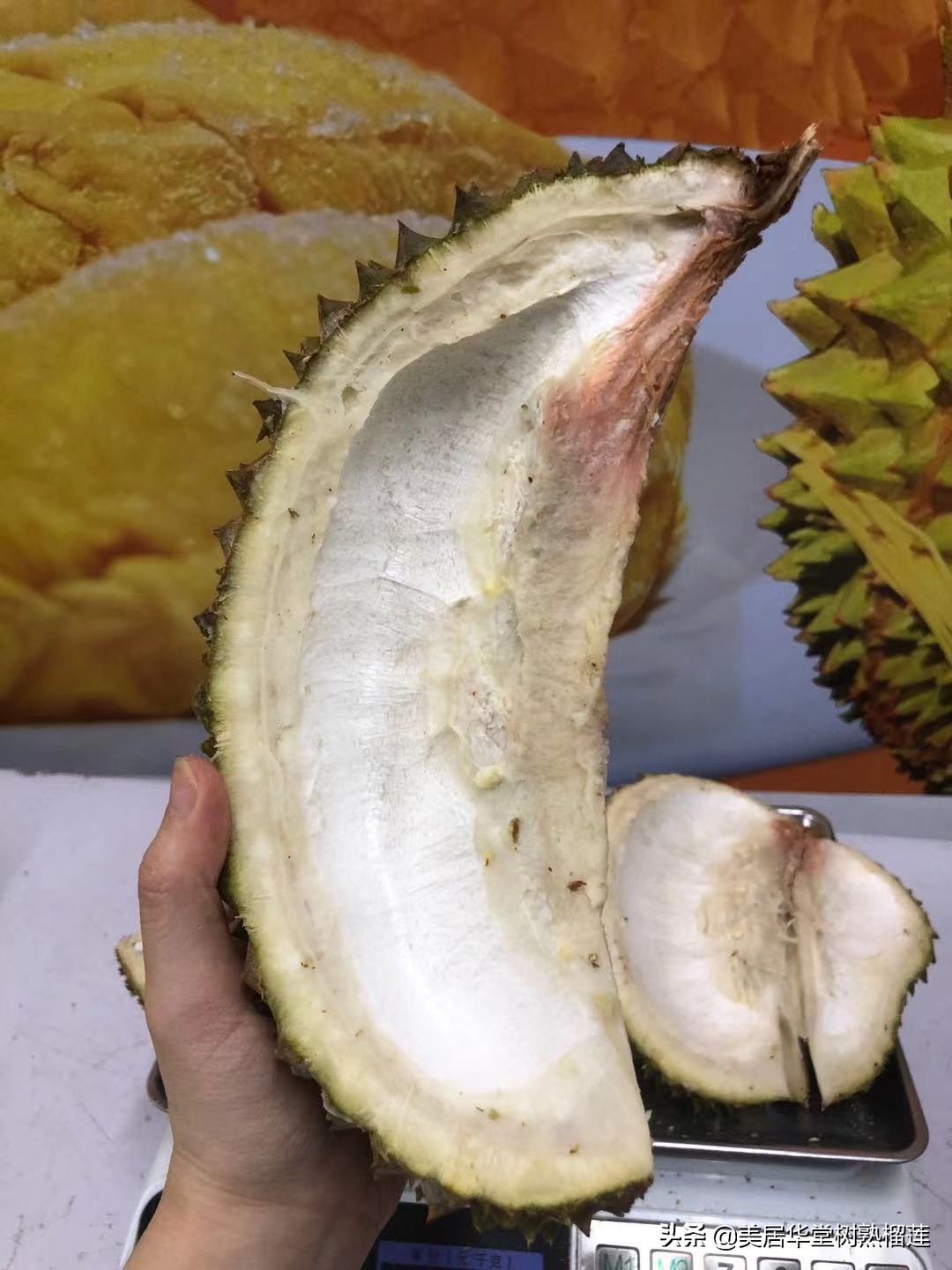 榴莲会缩水吗？亲测两天