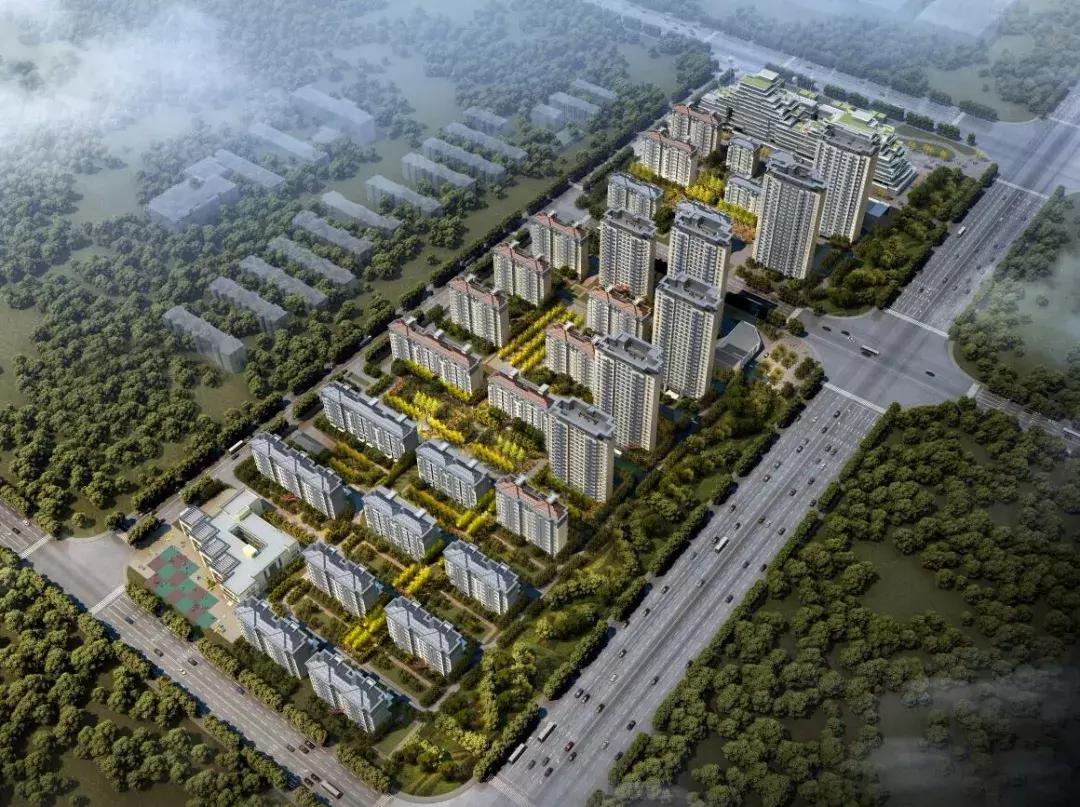 重磅解密！滨湖发展方向曝光，规划近2万亩！今年楼市最大风暴眼