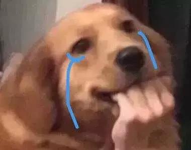 口红色系穿搭,夏季日常穿搭分享做gai上最靓的仔