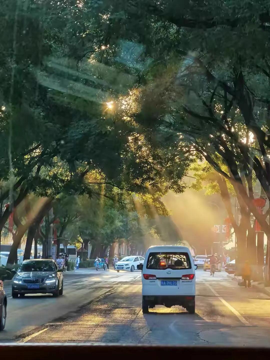 手拍世界-2021年09月各周最佳作品专集（总第716期）