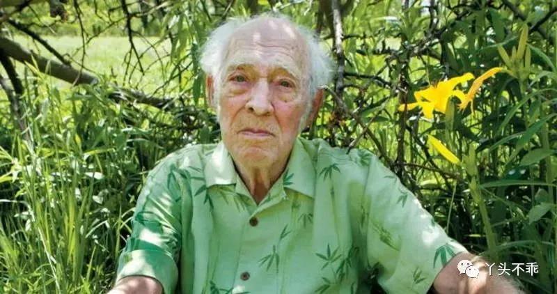 墨西哥贩毒故事,墨西哥往事解析