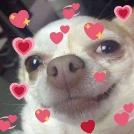 十块钱的假睫毛推荐,10块钱以内的整根假睫毛