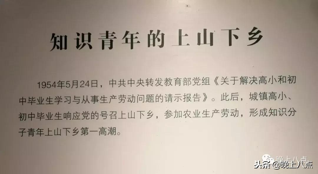 游记南京夫子庙50个字,南京夫子庙赏景幽居品茗佳处