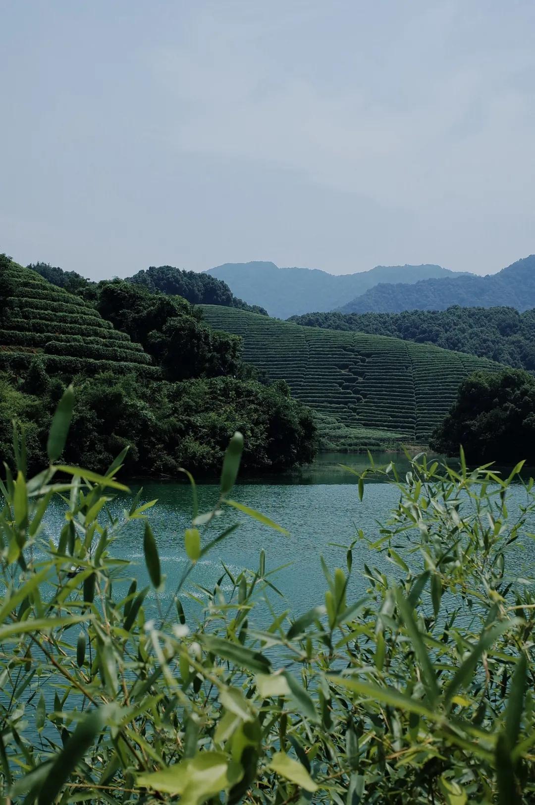 杭州西湖人少景美的地方,杭州人少景美免费景点