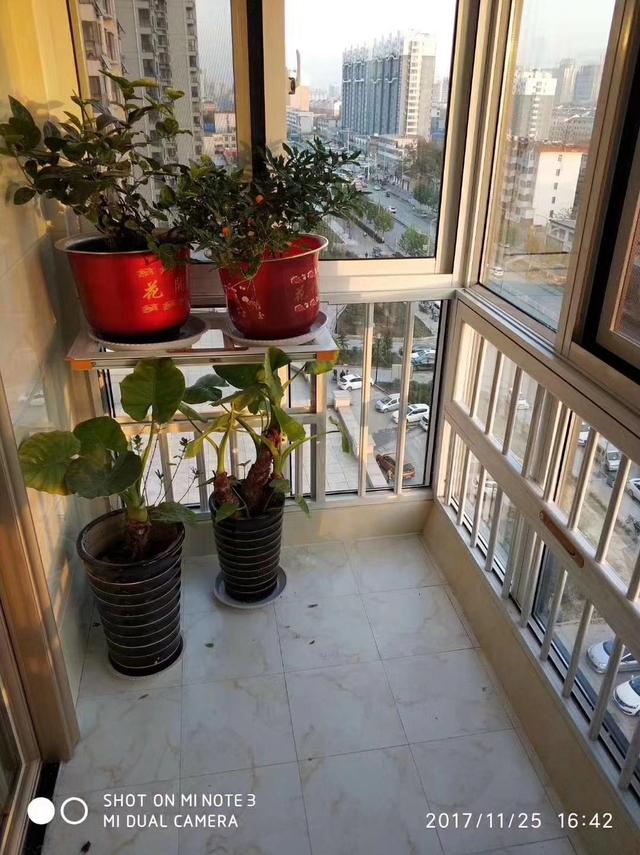 落地窗多功能防护栏,落地窗护栏高度多少