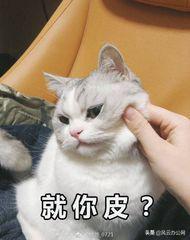 在手机上如何裁剪视频尺寸？分享你一个小妙招