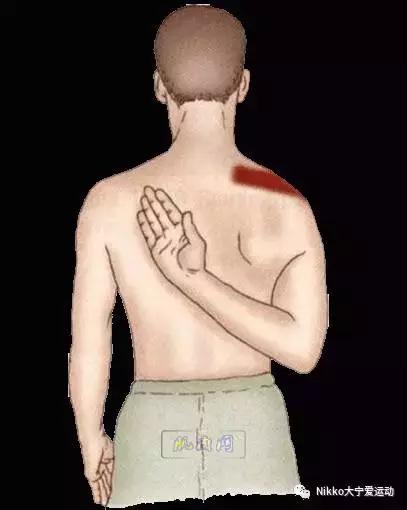 怎么减掉斜方肌变成一字肩,女人天鹅颈怎么练出来