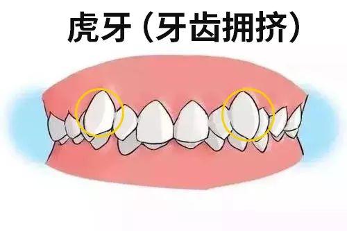 大连齿医生口腔正畸,大连齿医生口腔可靠吗