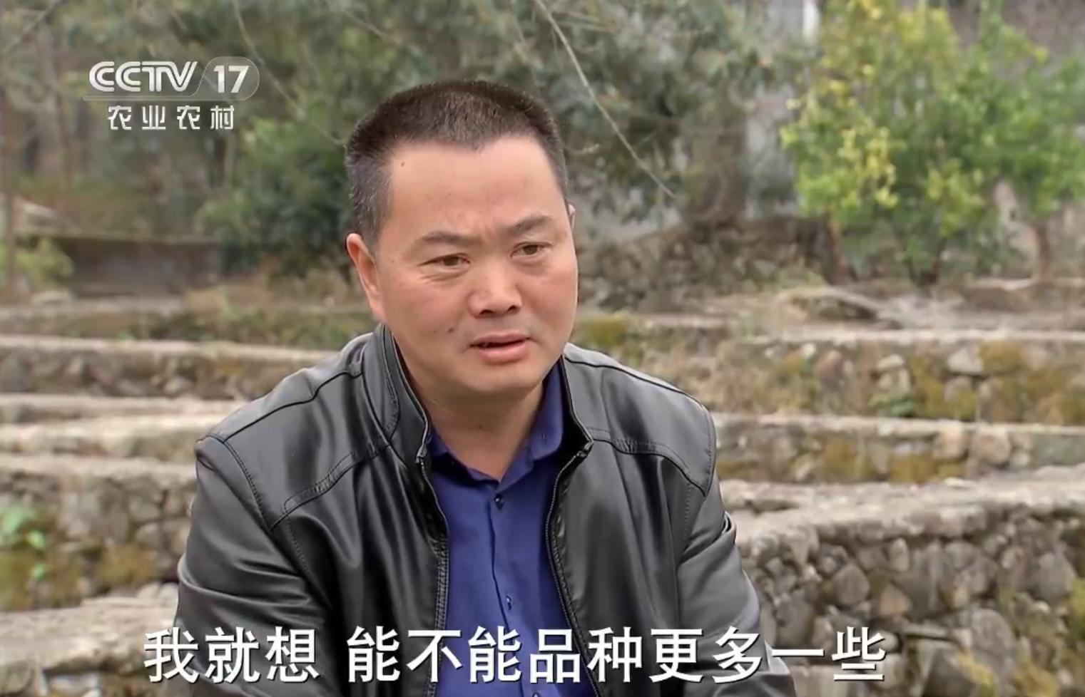 小伙返乡养鱼一亩地赚4份钱,大叔养鱼年赚60万