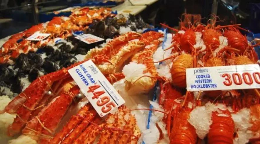 曝光黑心鱼商,悉尼海鲜鱼市场