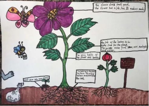 怎么样更好引导孩子学习英语,如何教孩子学会英语阅读