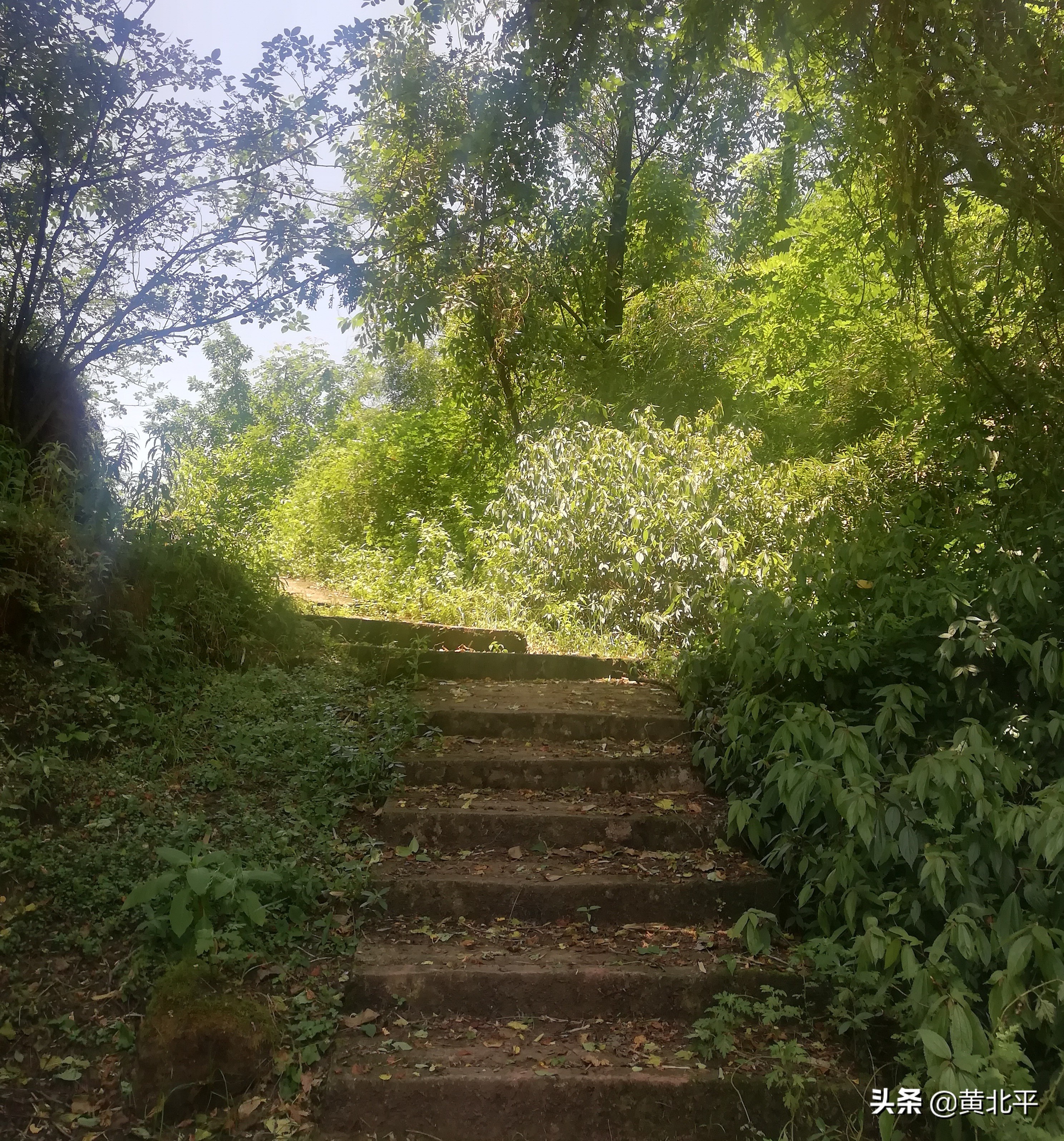 北碚深山寺庙,深山密林的神秘古刹
