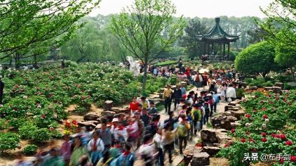 尚湖门票60岁以上免费吗,常熟尚湖国家aaaaa级风景区