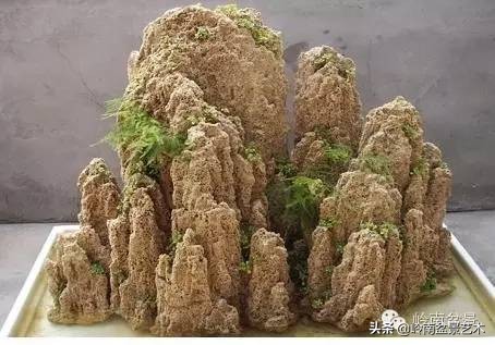 吸水石盆景位置,吸水石盆景教程