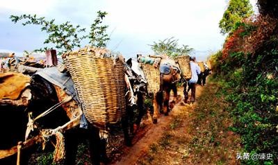 古代茶马互市怎么样,茶马互市起源于宋发展于唐