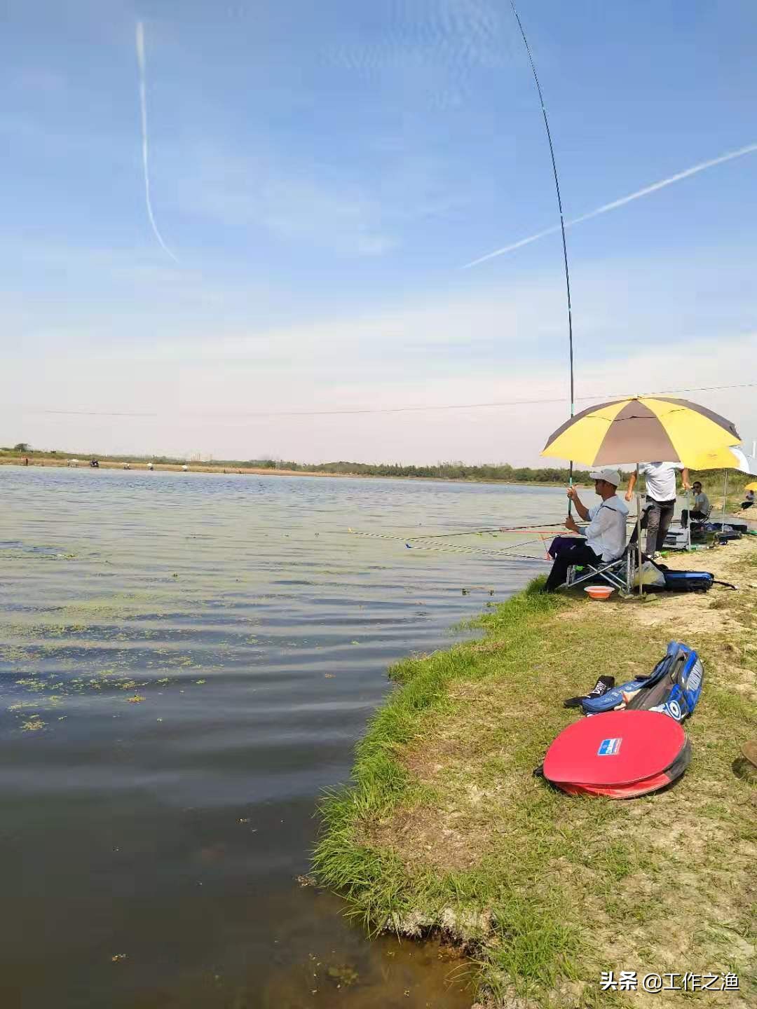 4月野河路亚翘嘴手法和技巧,野钓3.6翘嘴的方法