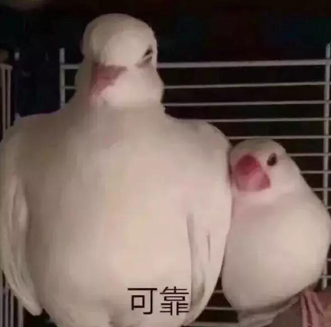 谁，夏天没有七八九十个帆布包？