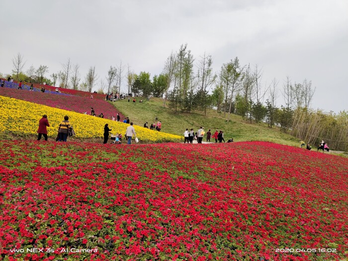 vivonex3深度测评王自如,vivo追求极致用户体验