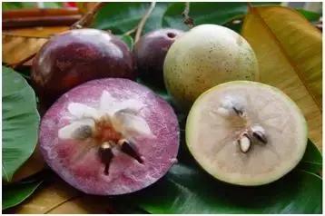 特种养殖热门,四种新型农业经营