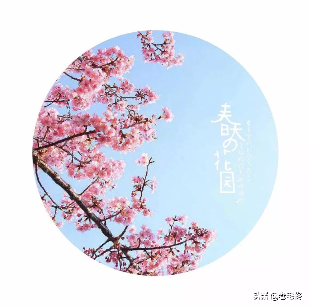 照片添加各种字体文字app,哪个app可以把照片转成文字