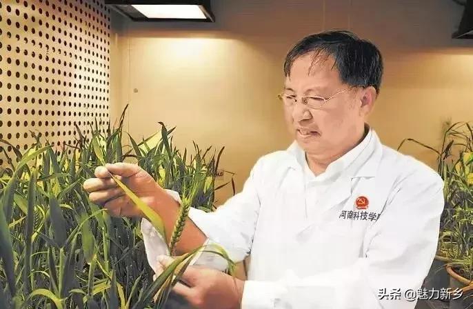 新乡故事完整版,新乡故事