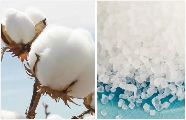 卫生巾测试推荐,测了8个爆款卫生巾