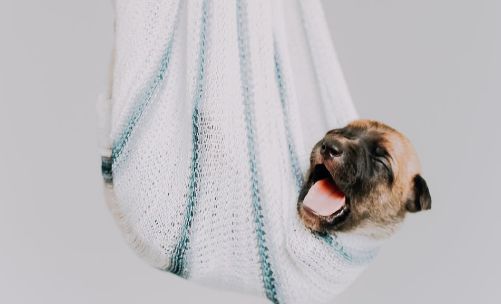 一级建造师报考条件江西,一级建造师报考条件考哪几科