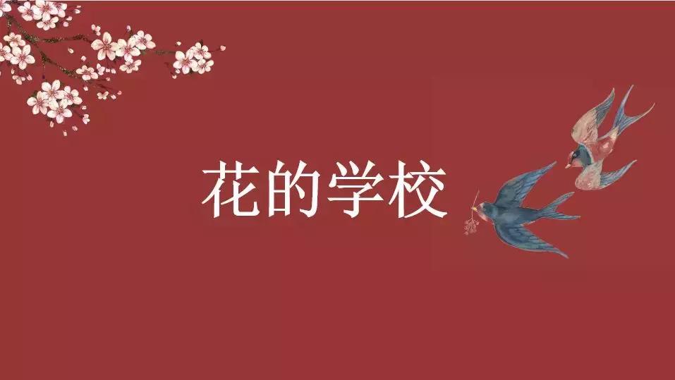 授课老师的精彩ppt,老师的高端ppt