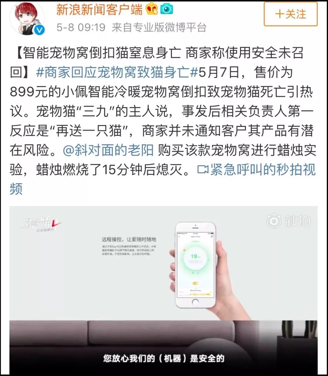 小佩闷死猫事件,小佩猫窝闷死猫