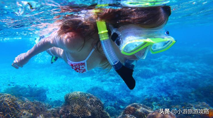 潜水小白必看,潜水圣地三天旅游攻略