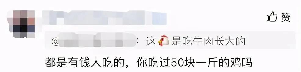 三德子带领乡亲致富,三德子靠养鸡赚上亿