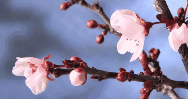 三招教你如何消除妇科炎症,春季妇科疾病高发防治从现在做起